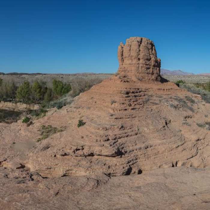 Near Shoreline Trail