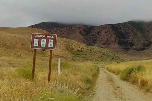Condor Trail