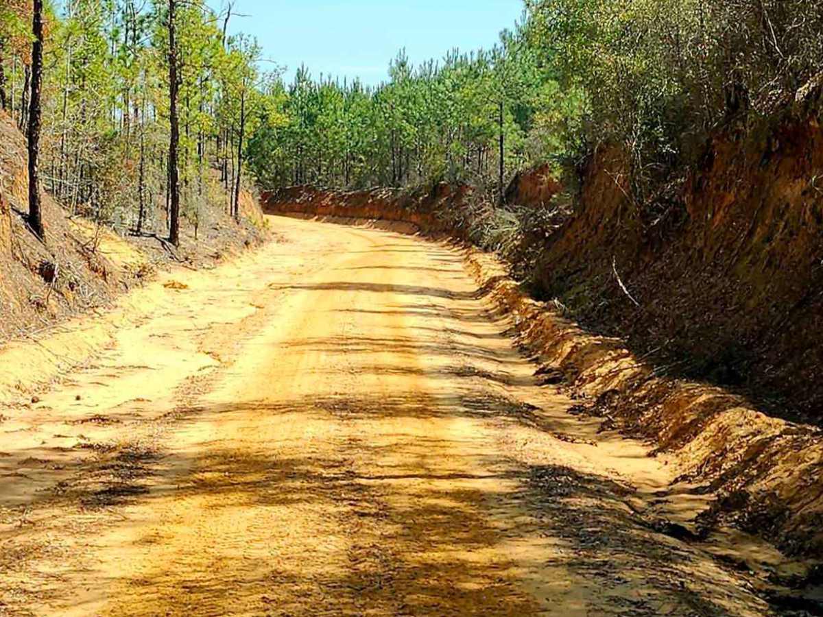 Tatum Road Trail photo 5