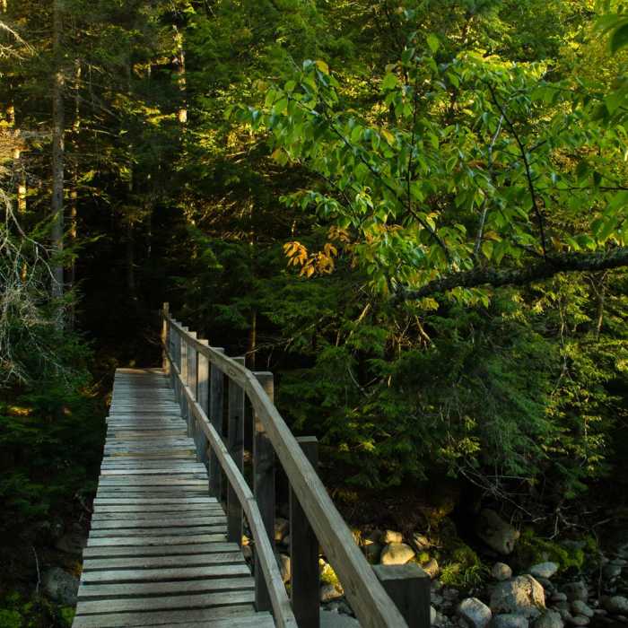 Near Haystack, Basin + Saddleback Mountain Lasso Loop Near Haystack, Basin + Saddleback Mountain Lasso Loop