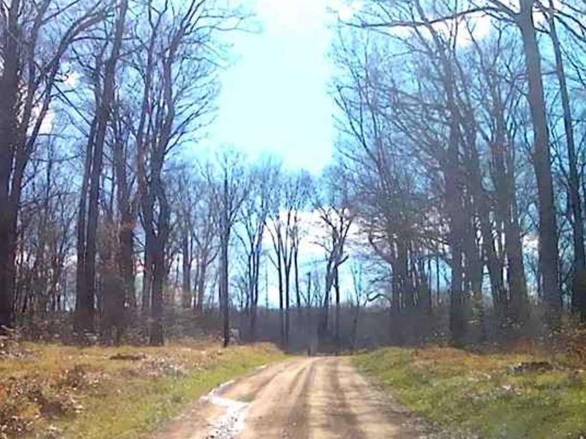 Weilder Road photo 5