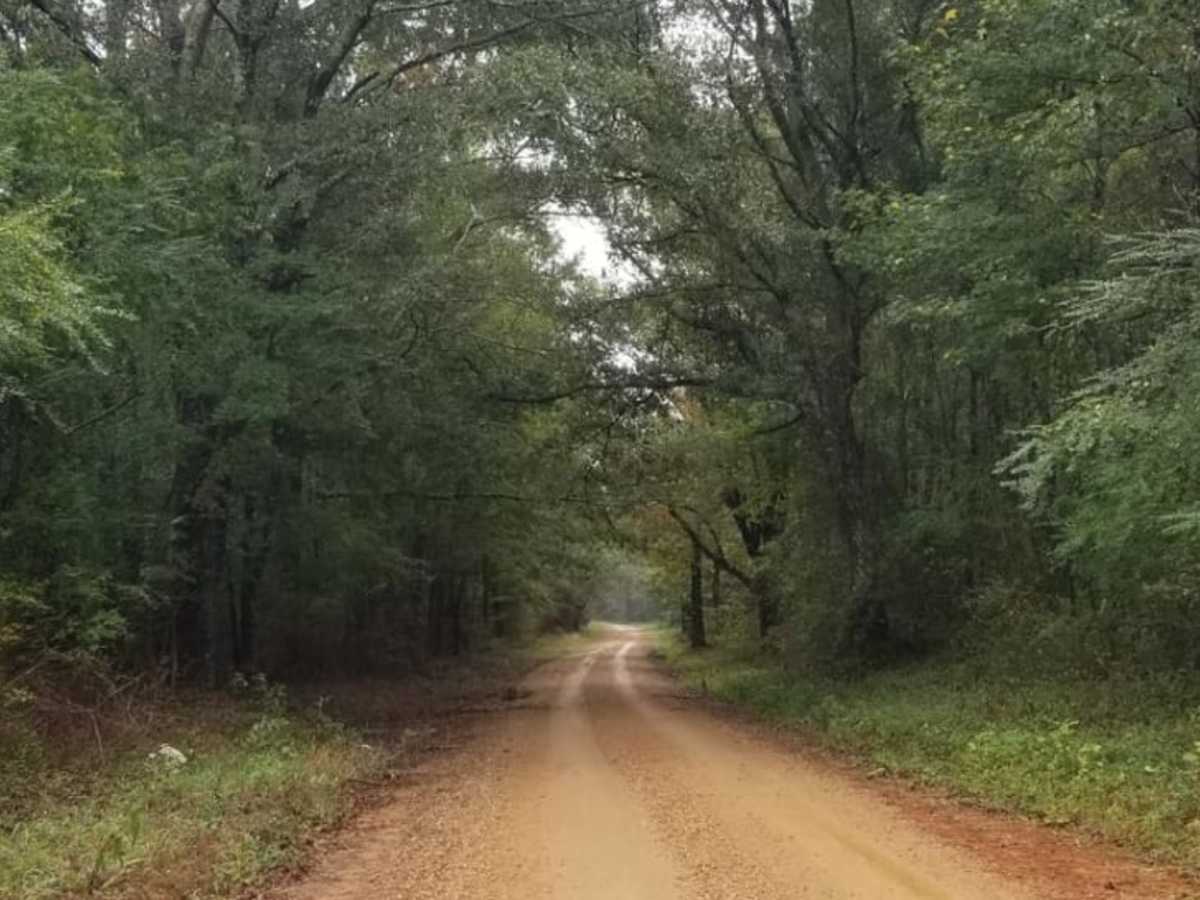 Bienville Scenic Trail trail photo