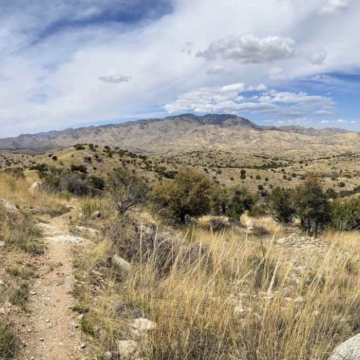 Near Bellota Trail #15