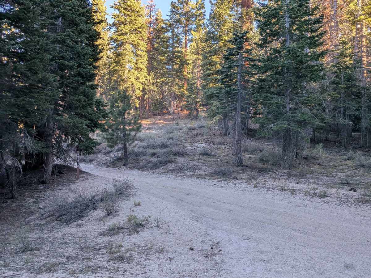 Forest Service Road 3S121A trail photo