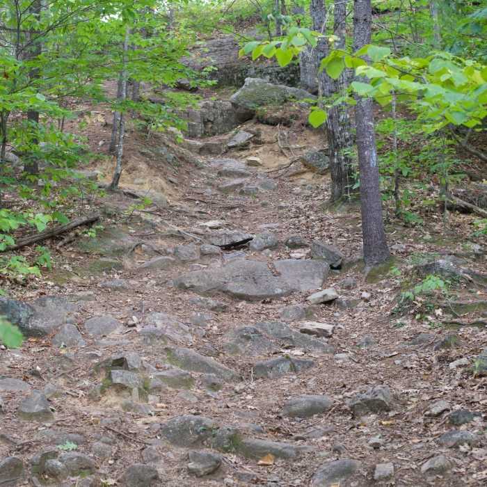 Near Jockey Cap Trail