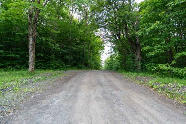 Truck Trail 12