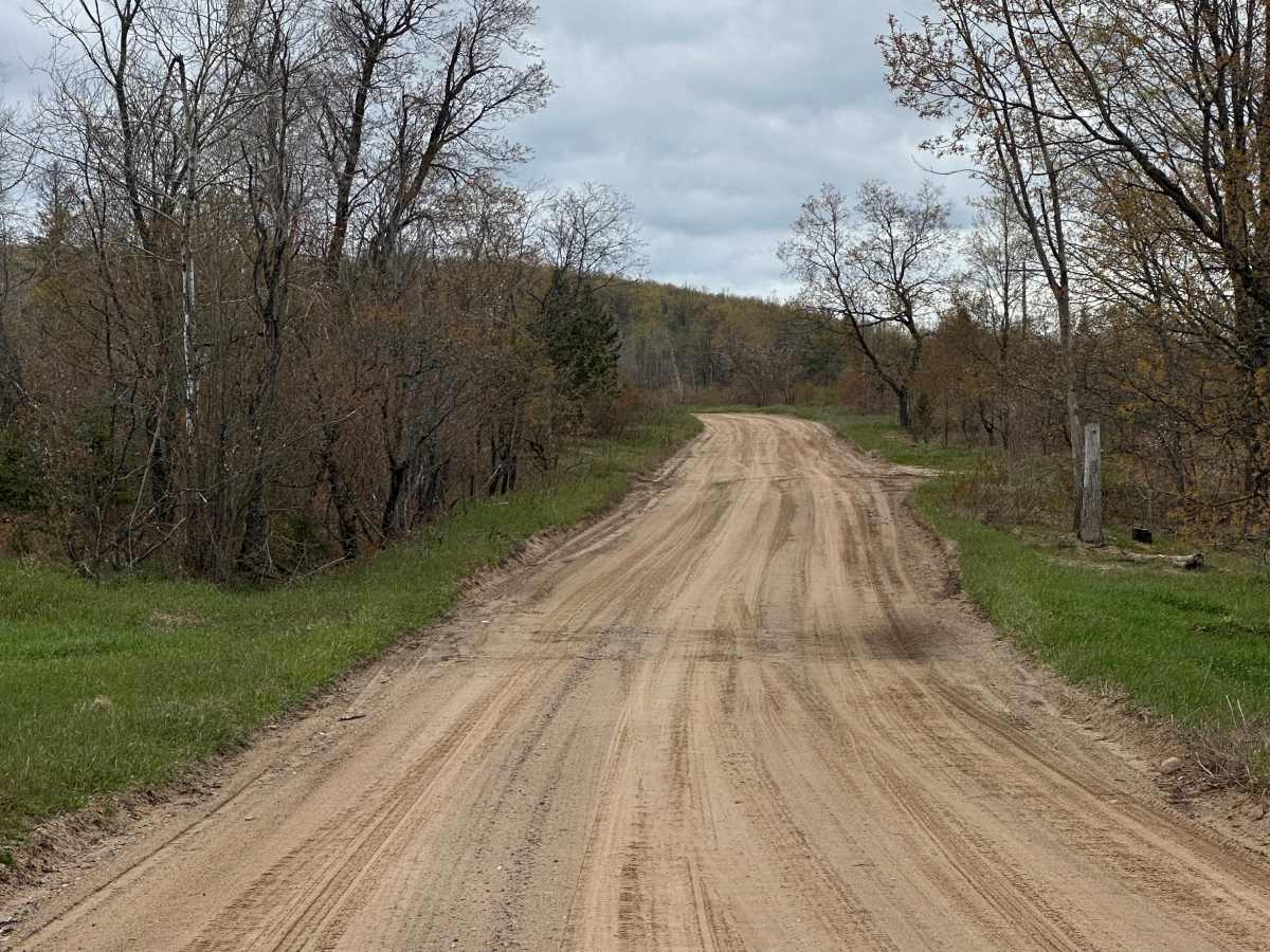 North Kolka Creek Road photo 4