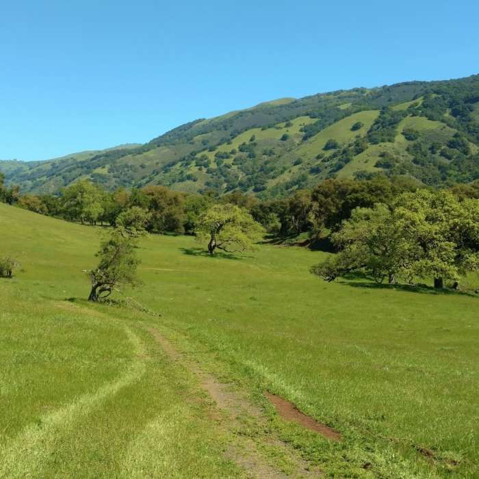 Near Coyote Ridge Trail