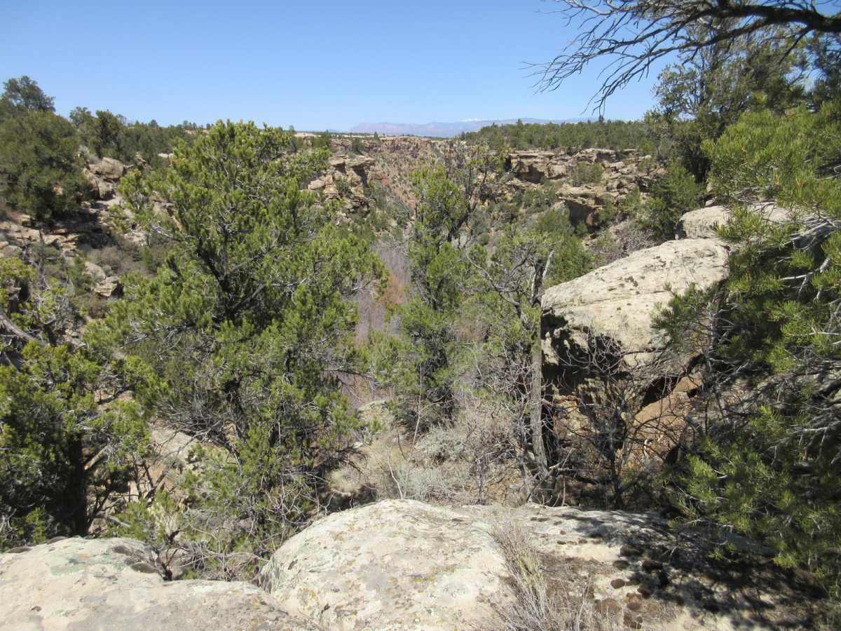 Little Creek Mesa photo 4