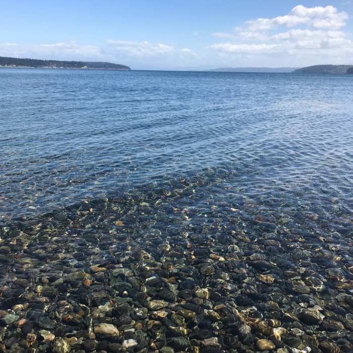 Near Monroe's Landing Low Tide Trail