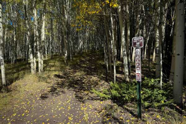 North Bald Pitkin Cut-Off Trail - FS 649