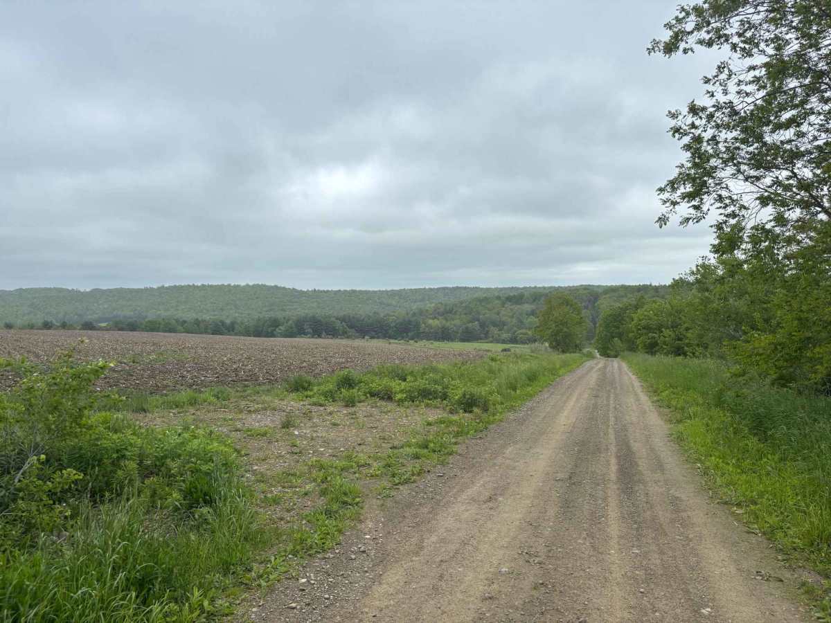 Woodbeck Road photo 5