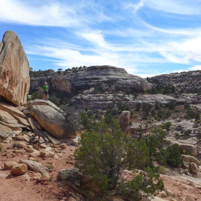 Beautiful canyon with views for days Near Natural Bridges National Monument Full Loop