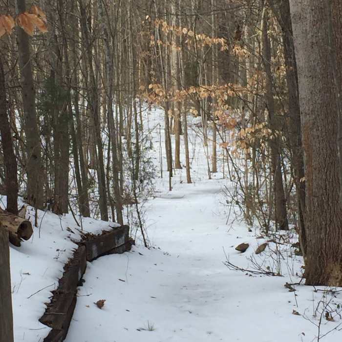Near Bill Faver Lakeshore Loop