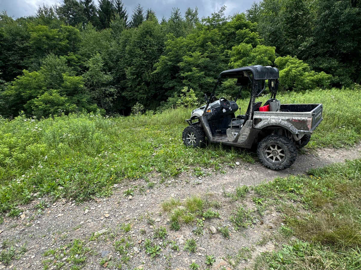 Trail 40 photo 2