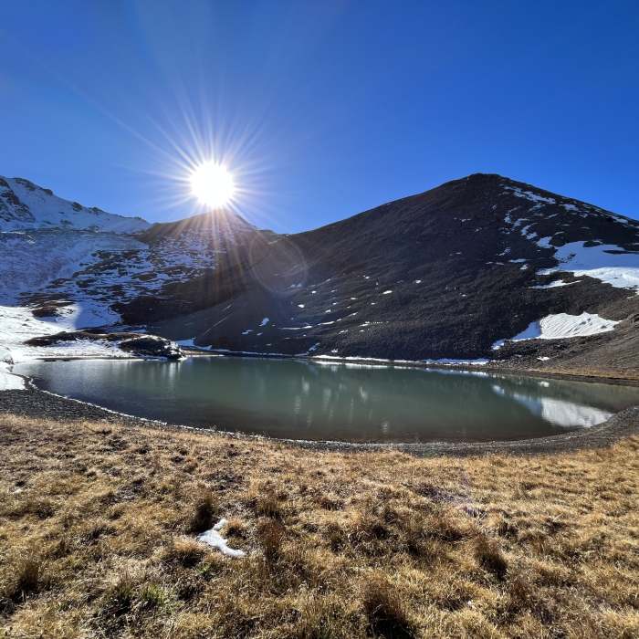 Near La Junta Basin Trail