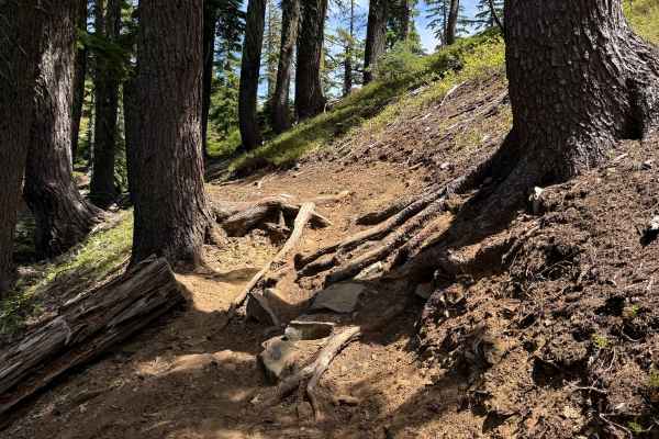 Indigo Extension Trail