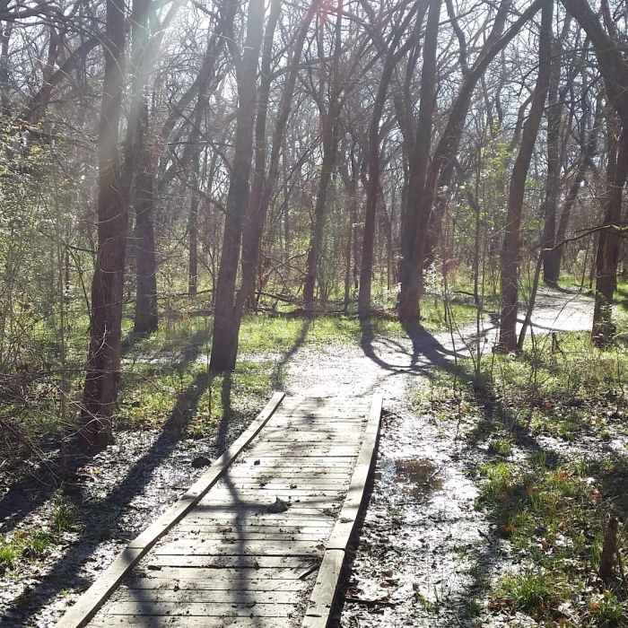 Boardwalks in lower-lying areas help to keep feet dry. Near Oak Point Park
