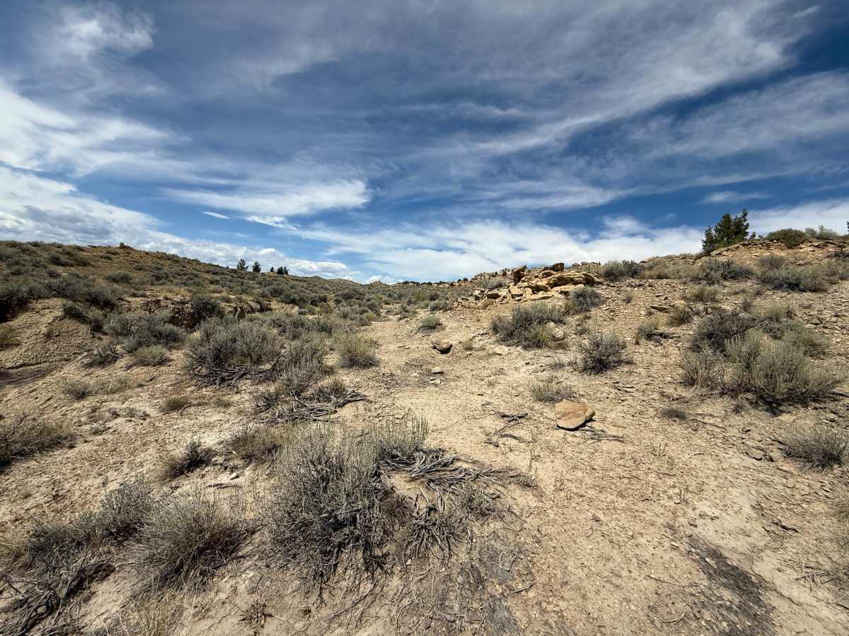 Bill's Trail photo 6