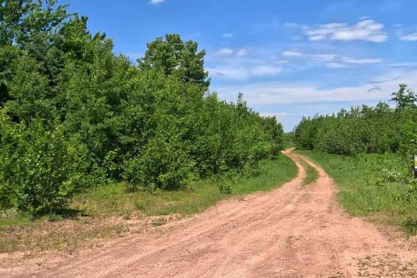 Menge Bypass Loop