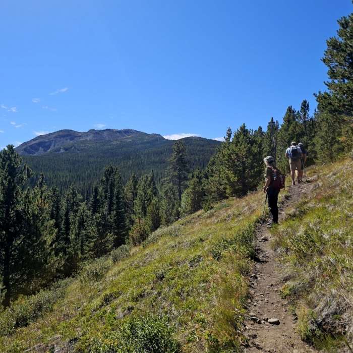 Near Tullin Mountain