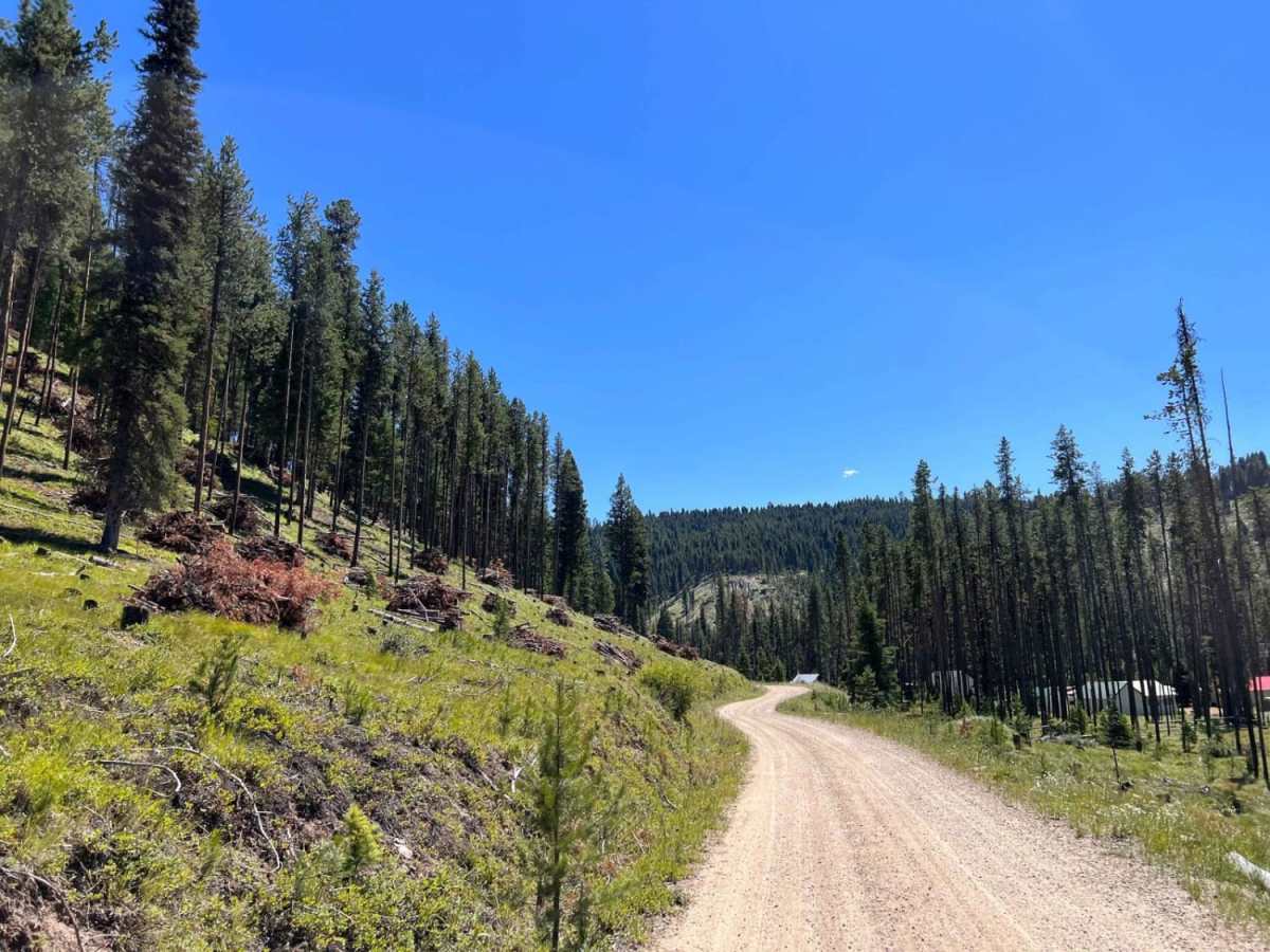Little East Fork trail photo