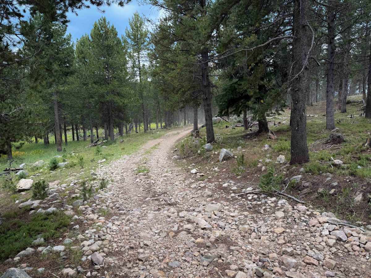 Meadow Park - FS 323  photo 6