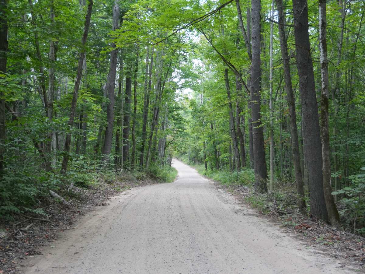 Tin Shanty Road trail photo