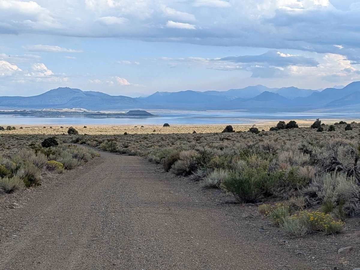 Coyote Springs Road photo 3