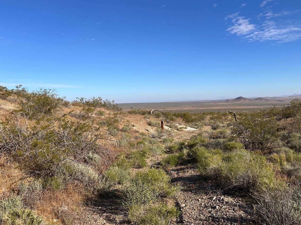 Dry Wash Trail photo 5
