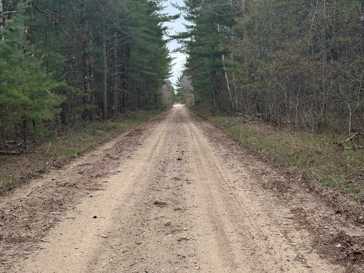 Deward Road Northeast photo 6