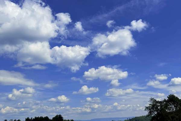 Rabbit Ridge