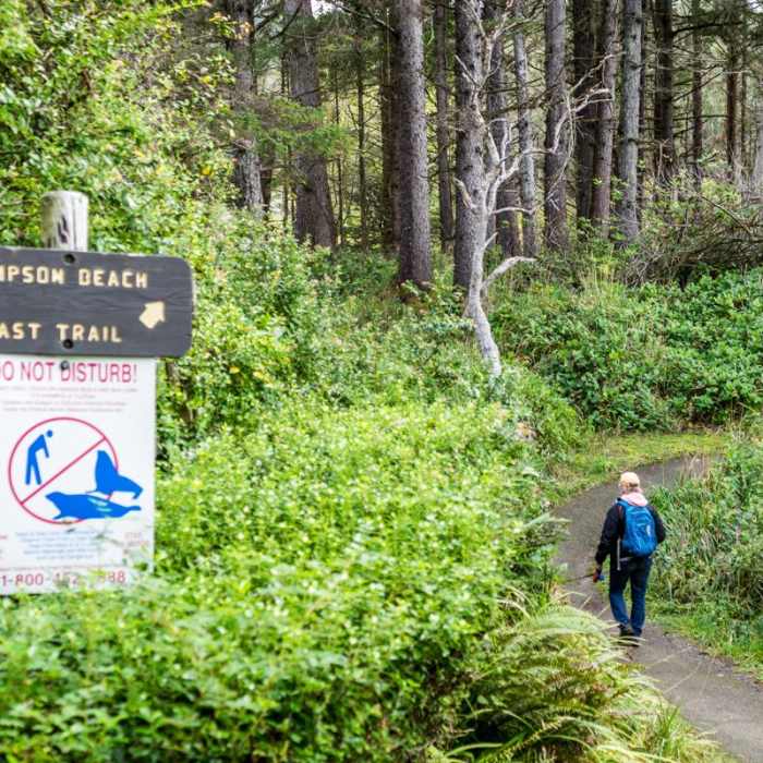 Near Shore Acres State Park to Simpson Overlook