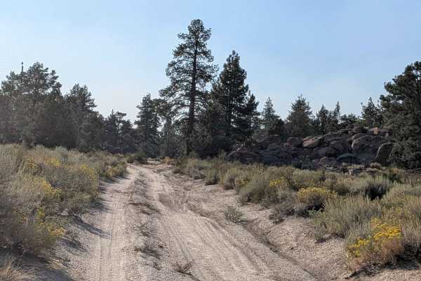 Forest Service Road 04S43