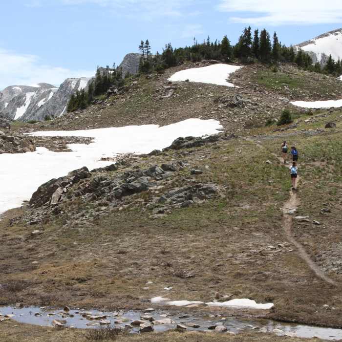 Near Shelf Lakes Trail #109
