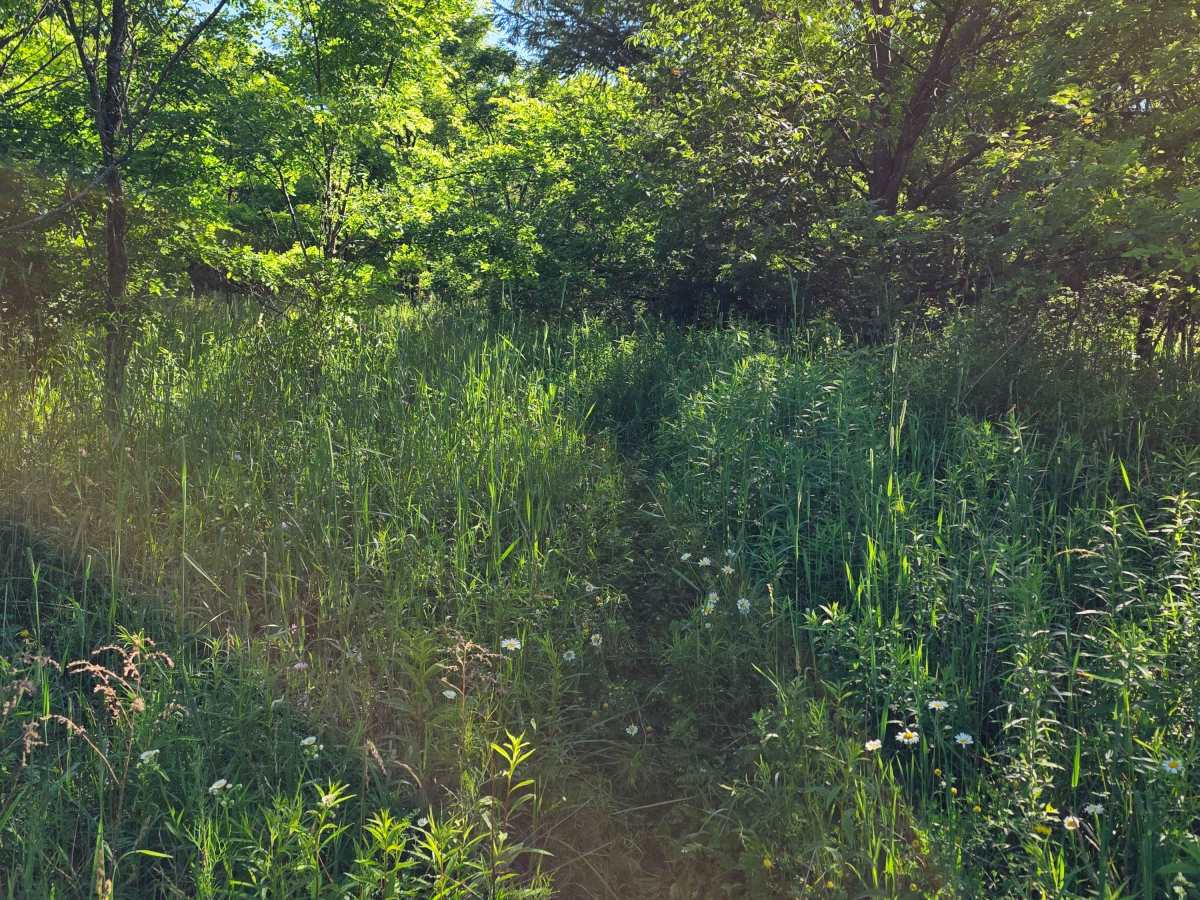 Single Track J3 photo 6