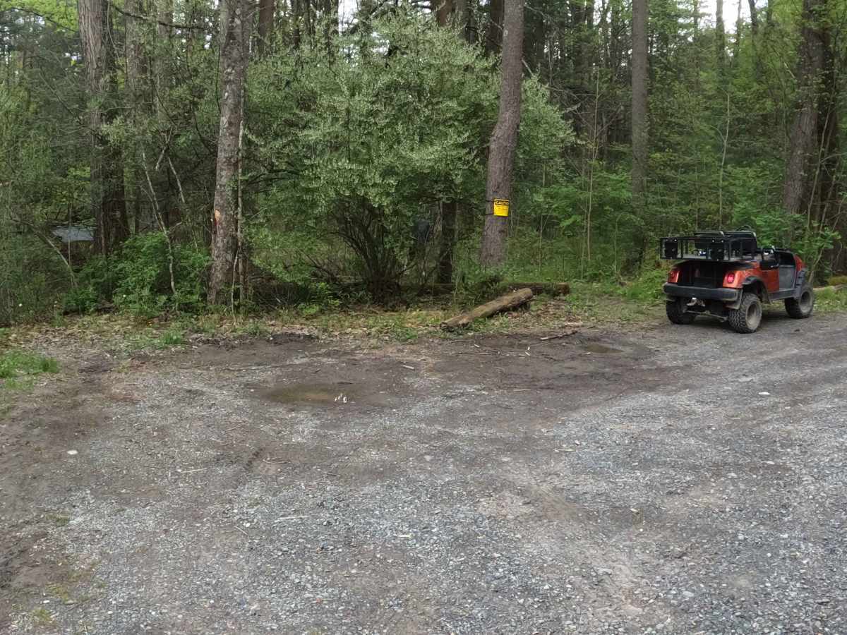 Beidler Road photo 5