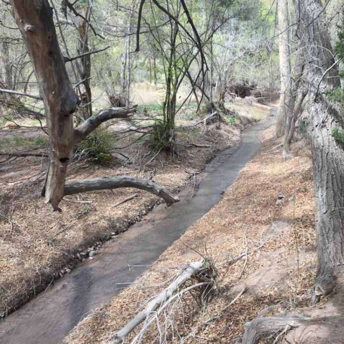 Near Alcove House Trail