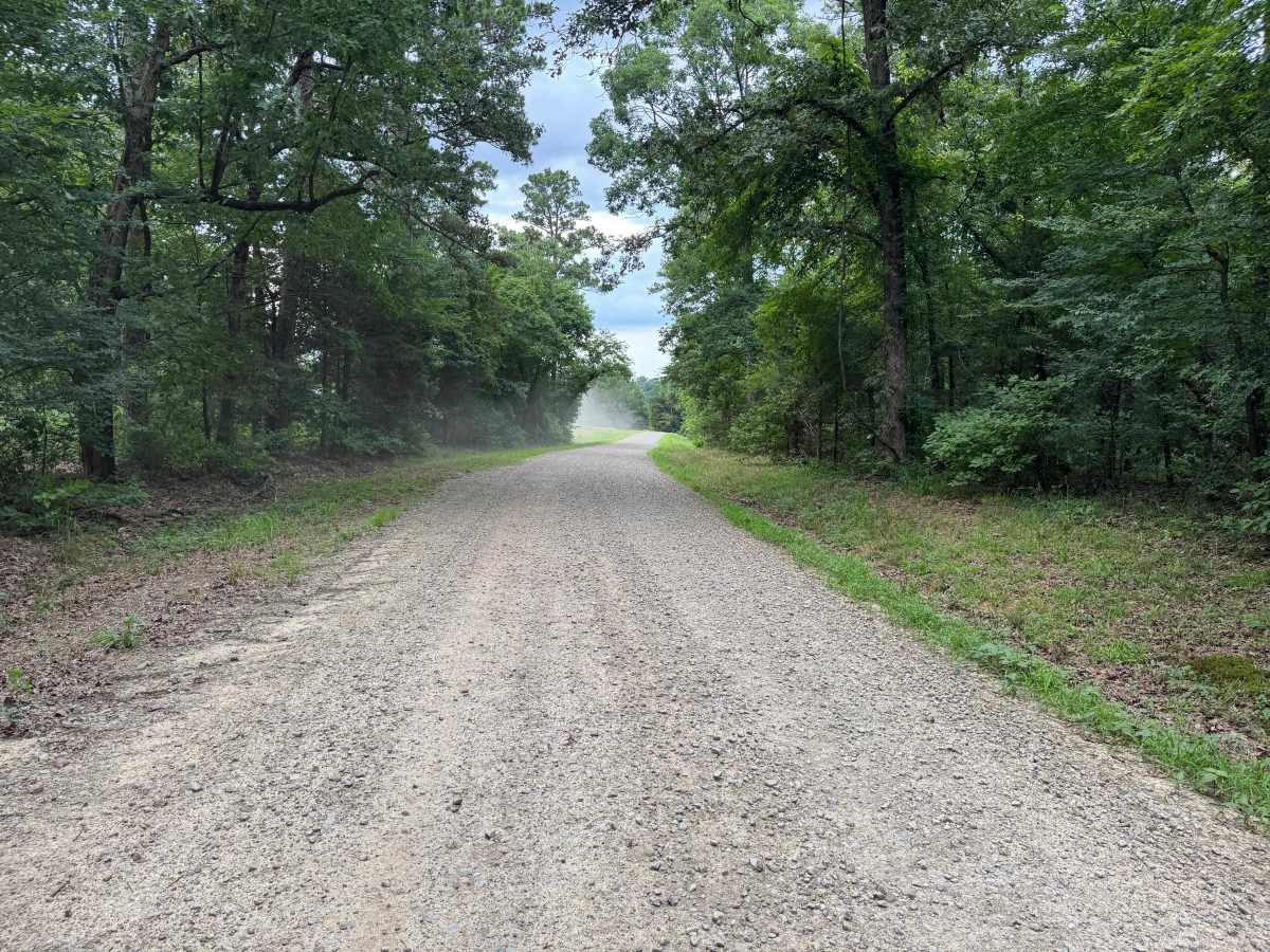 County Road 3706 photo 4