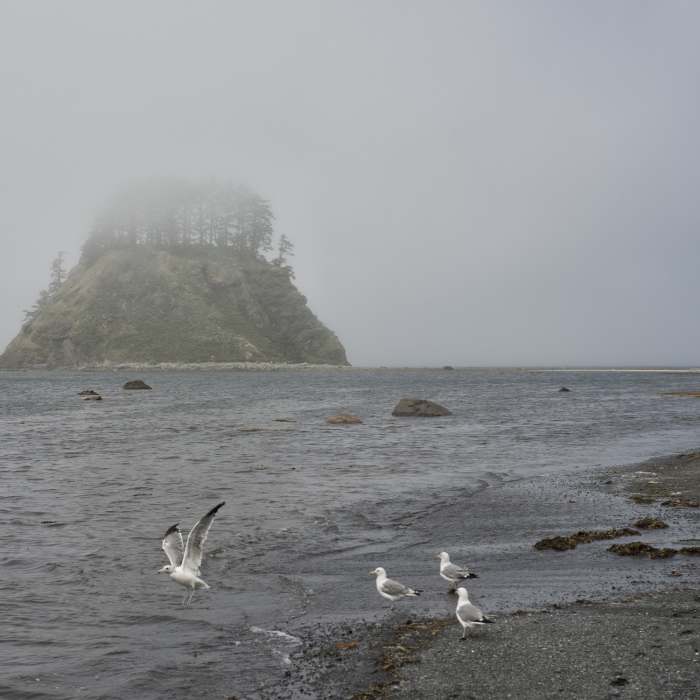 Cape Alava Near Cape Alava Trail