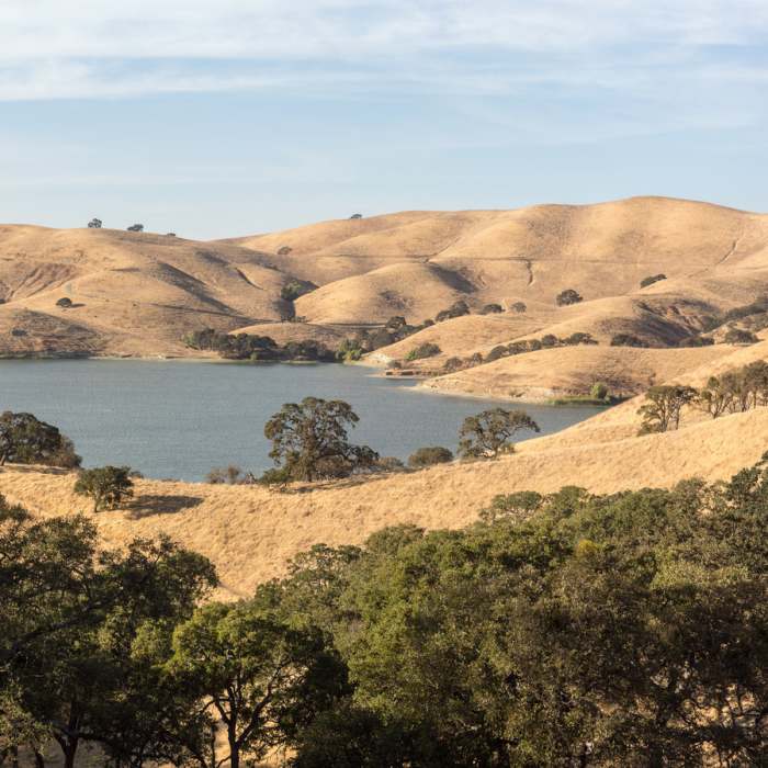 Near Heron Bay Trail - South