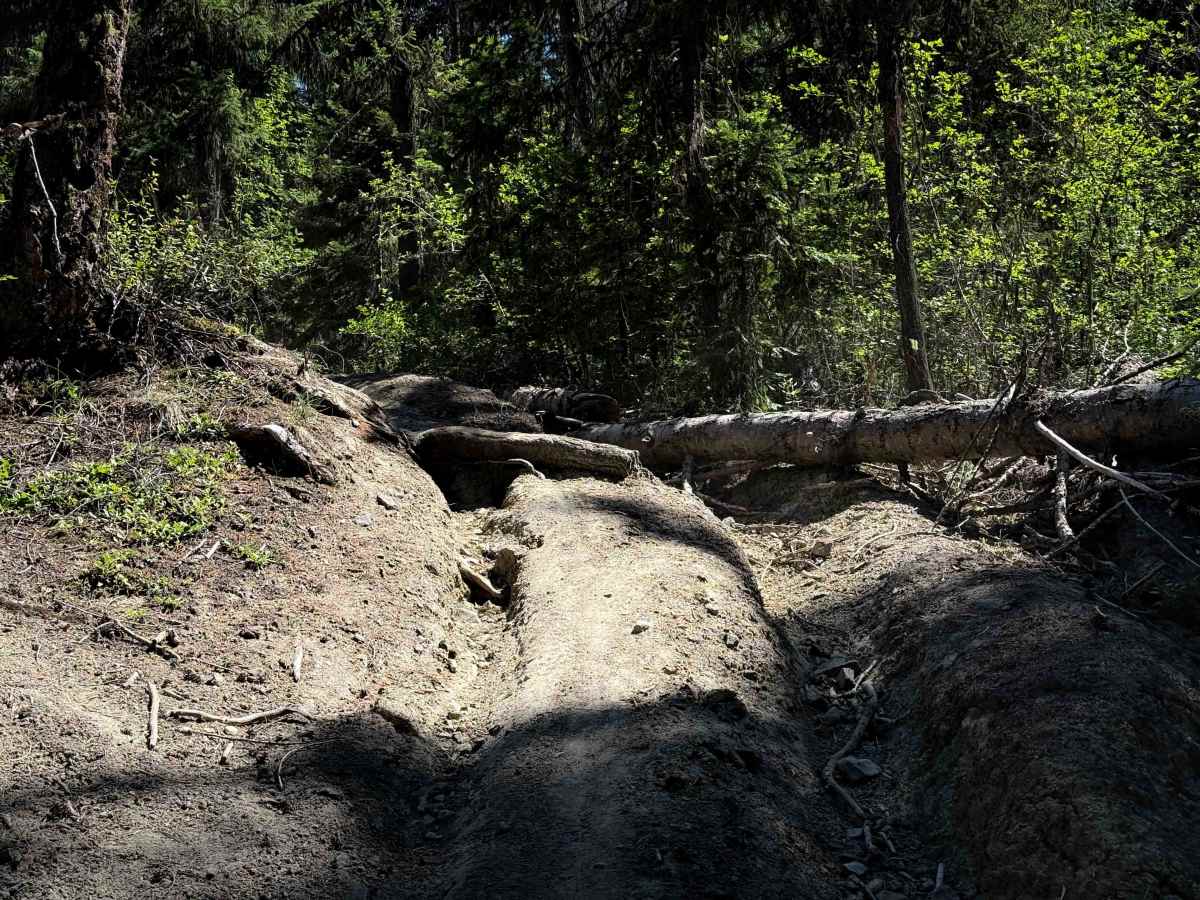 Milk Creek - FS 965  photo 4