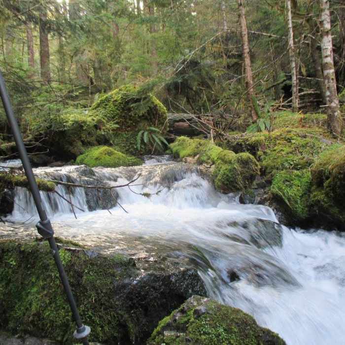 Near Lake Angeles Trail