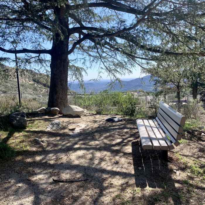 Near Dunsmore Canyon / Le Mesnager Loop