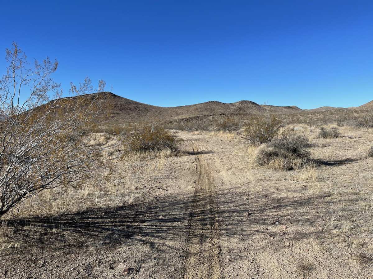 Creosote Wash photo 3