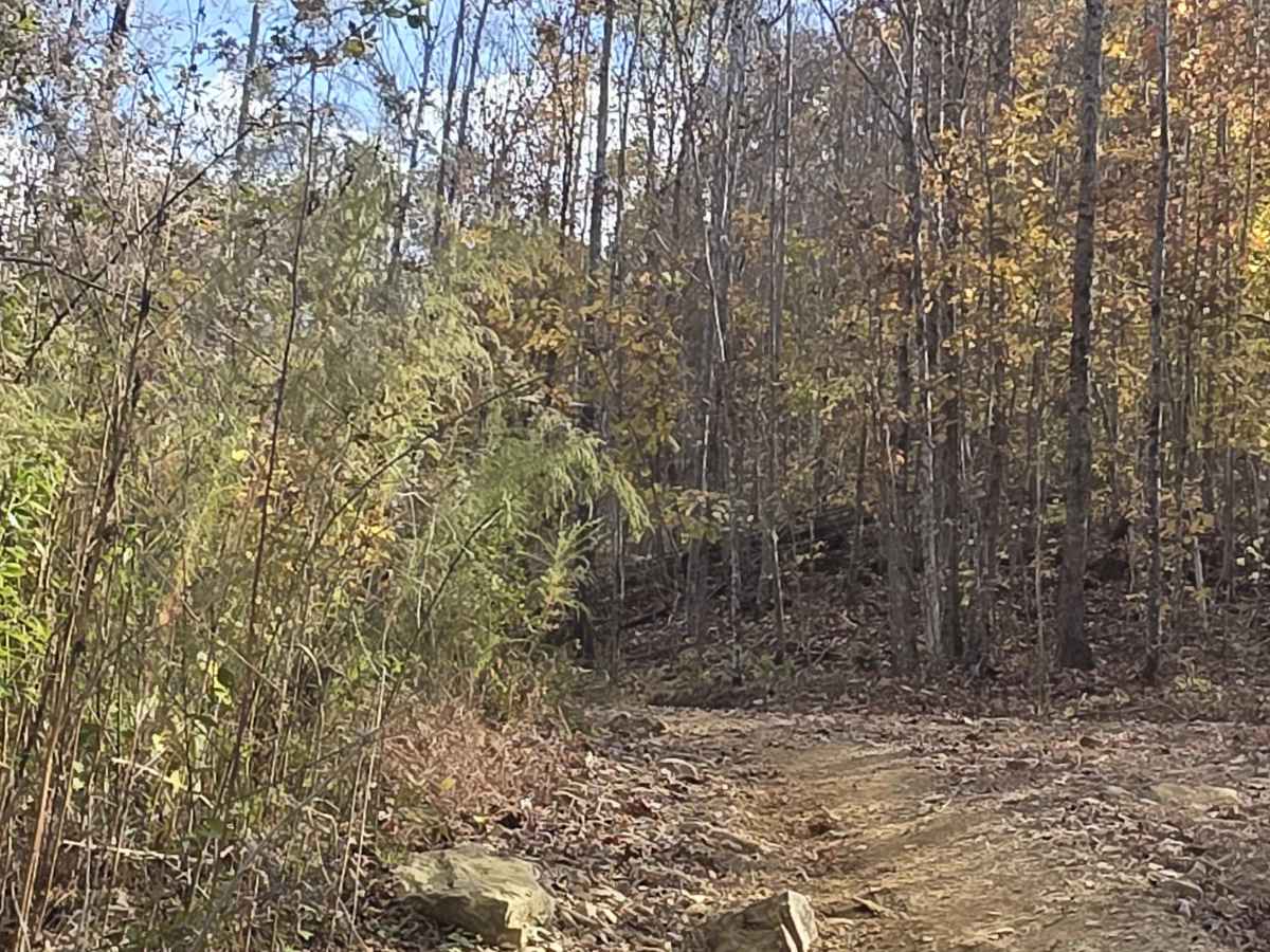 Cave Hollow Road photo 6