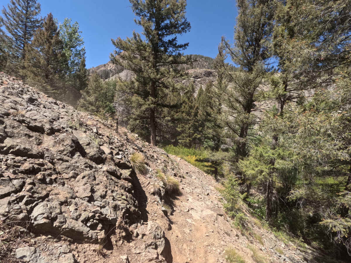 Germania Creek - FS 7111 trail photo