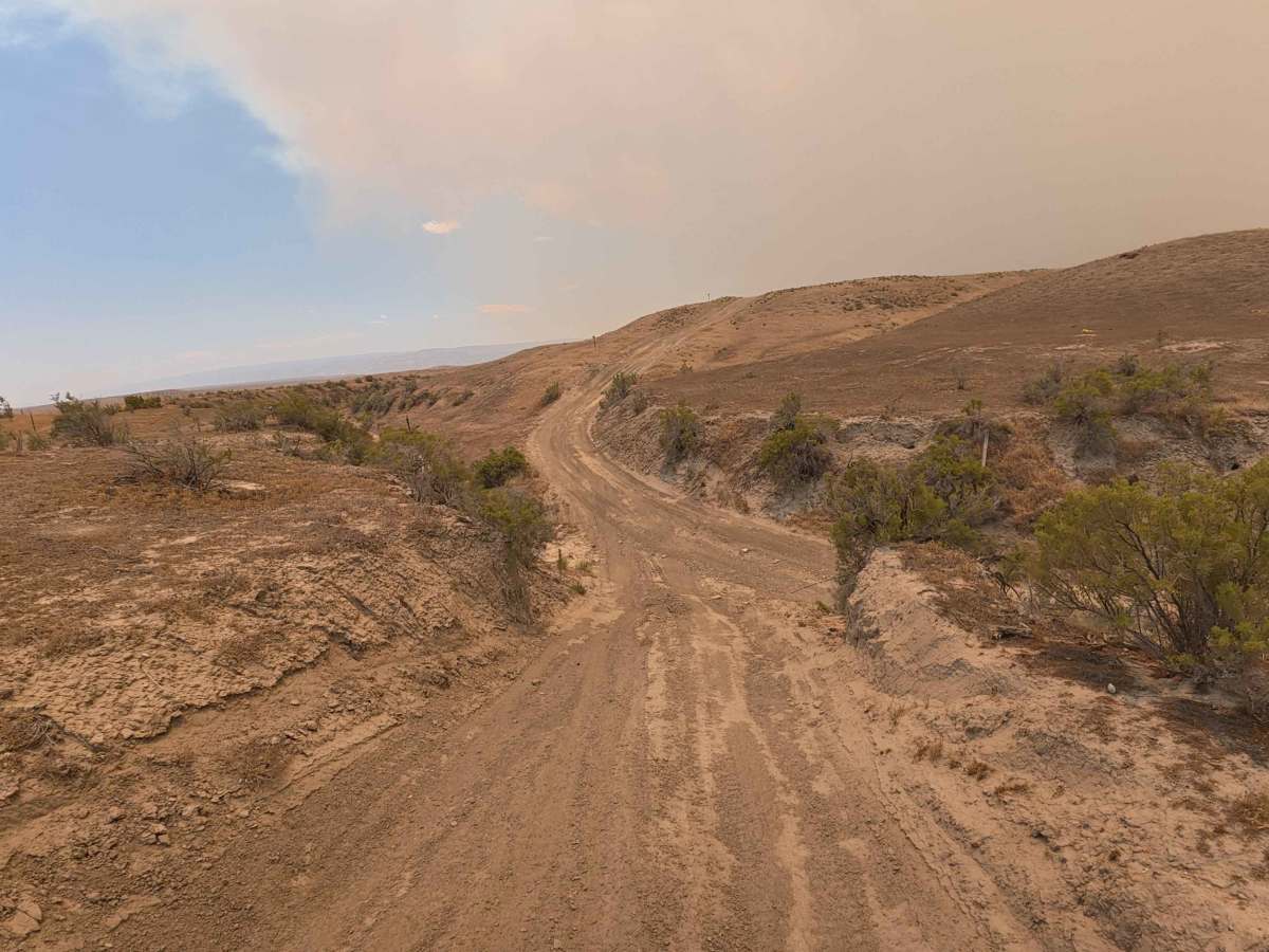 BLM 164 photo 6