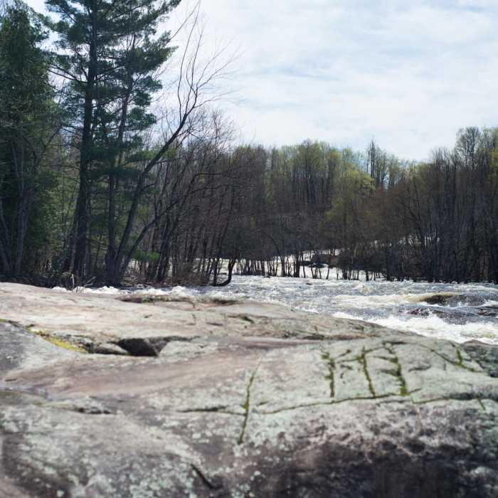 Near Stone Valley Recreation Area