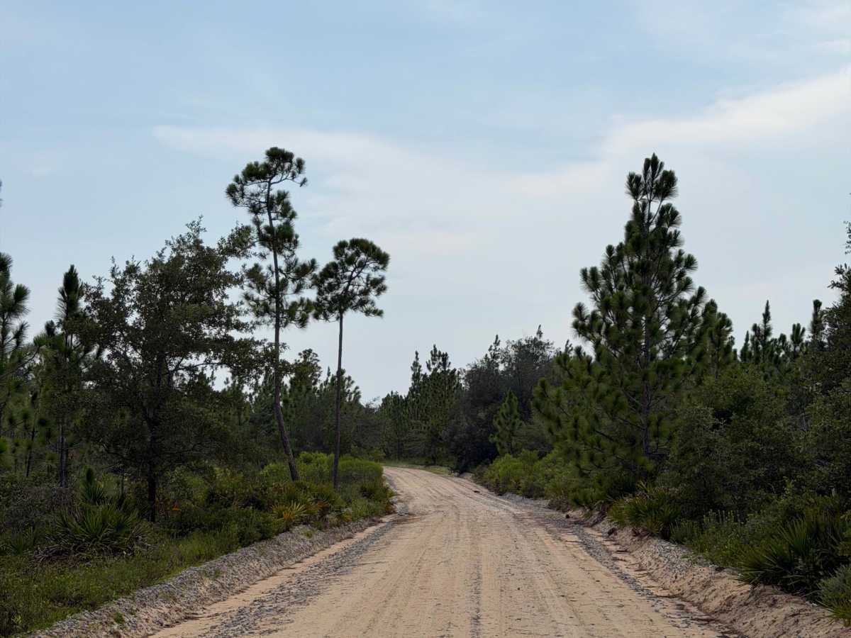 Point Washington State Forest Highway 98 Entrance photo 2